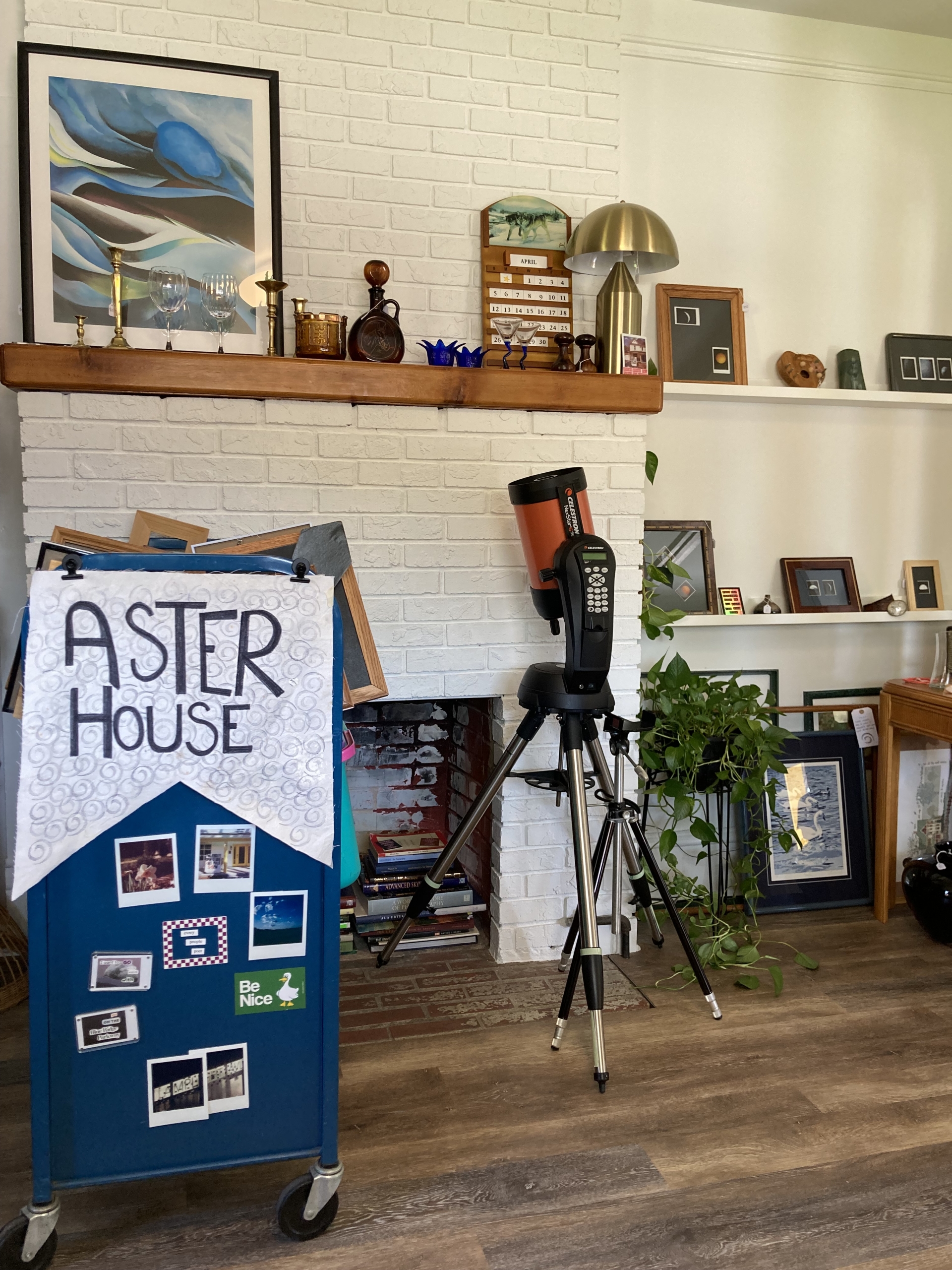 Aster House